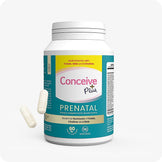 Prenatal with DHA - Conceive Plus® Asia